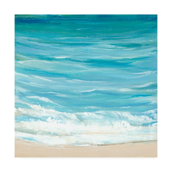 Trademark Fine Art 'Sea Breeze Coast I' Canvas Art by Tim OToole
