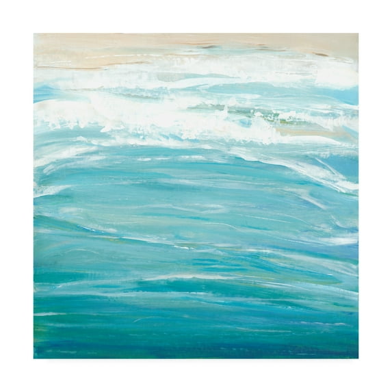 Trademark Fine Art 'Sea Breeze Coast II' Canvas Art by Tim OToole