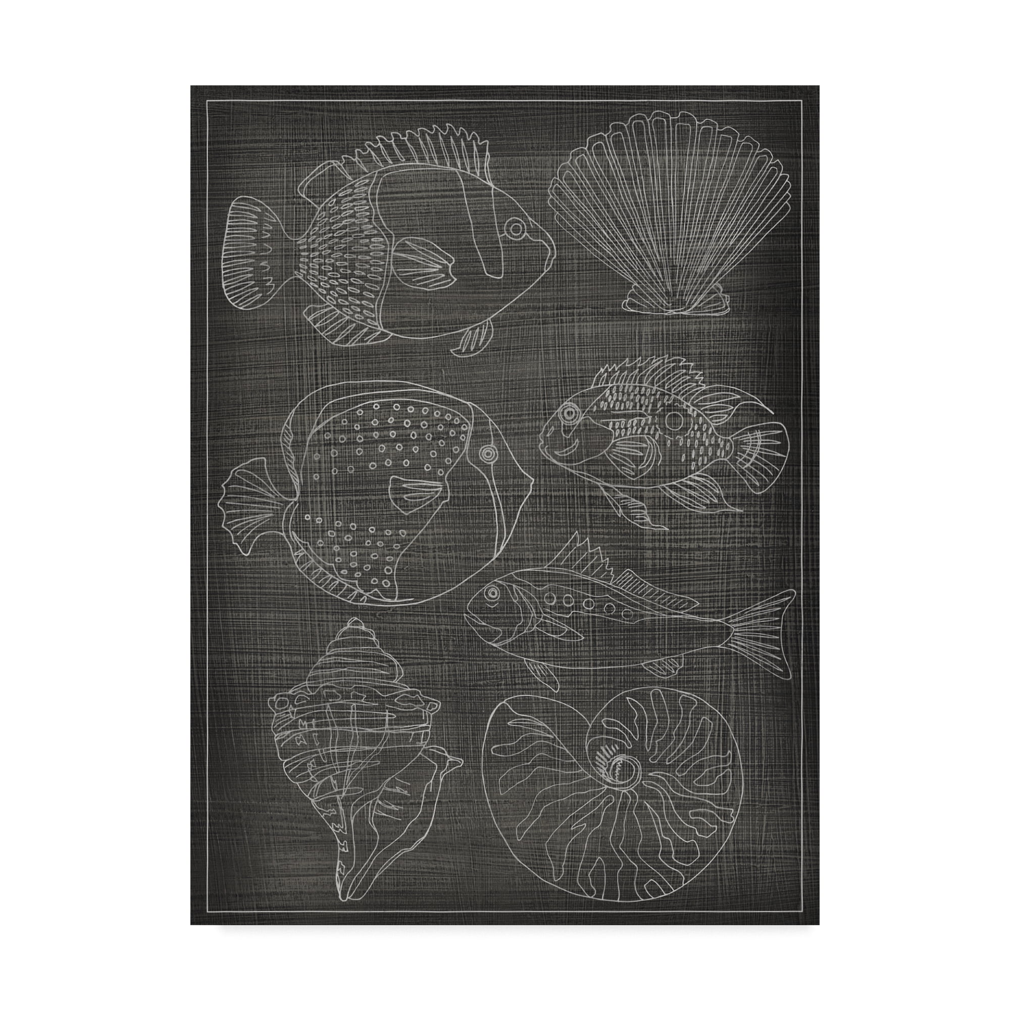 Trademark Fine Art 'Sea Chart I' Canvas Art by Chariklia Zarris