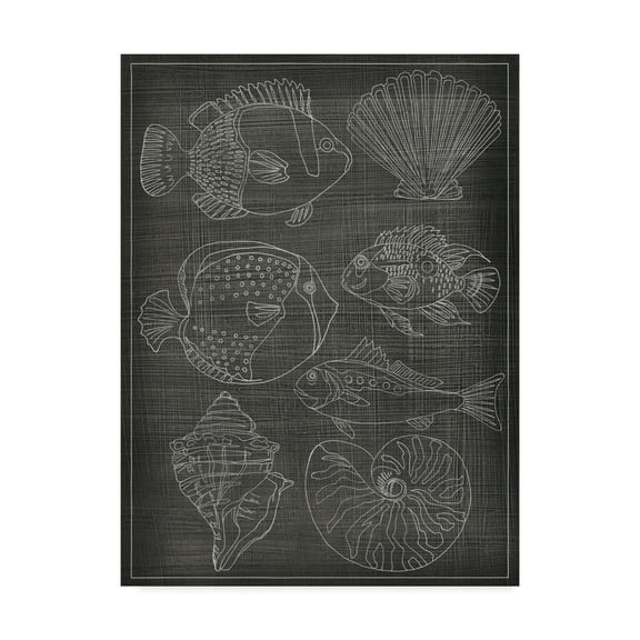 Trademark Fine Art 'Sea Chart I' Canvas Art by Chariklia Zarris