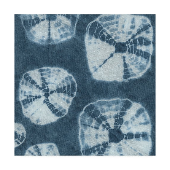 Trademark Fine Art 'Sea Cloth IV' Canvas Art by Chariklia Zarris