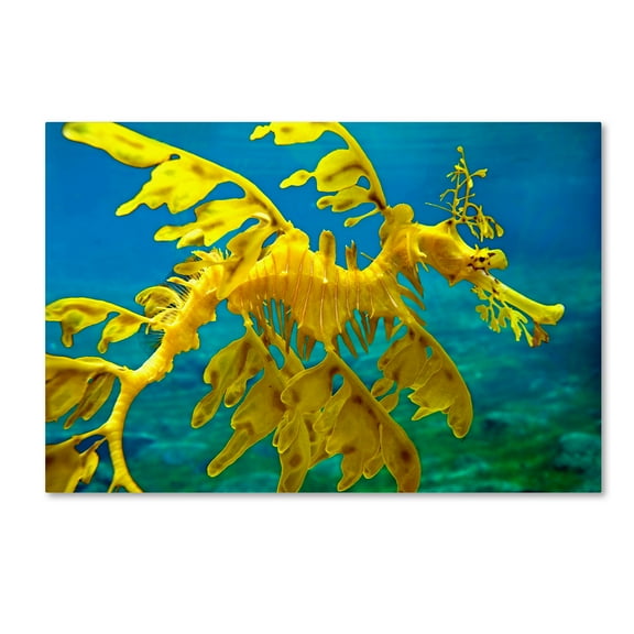 Trademark Fine Art 'Sea Dragon' Canvas Art by Mike Jones Photo