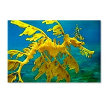 Trademark Fine Art 'Sea Dragon' Canvas Art by Mike Jones Photo