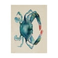thumbnail image 1 of Trademark Fine Art 'Sea Dweller III' Canvas Art by Grace Popp, 1 of 4