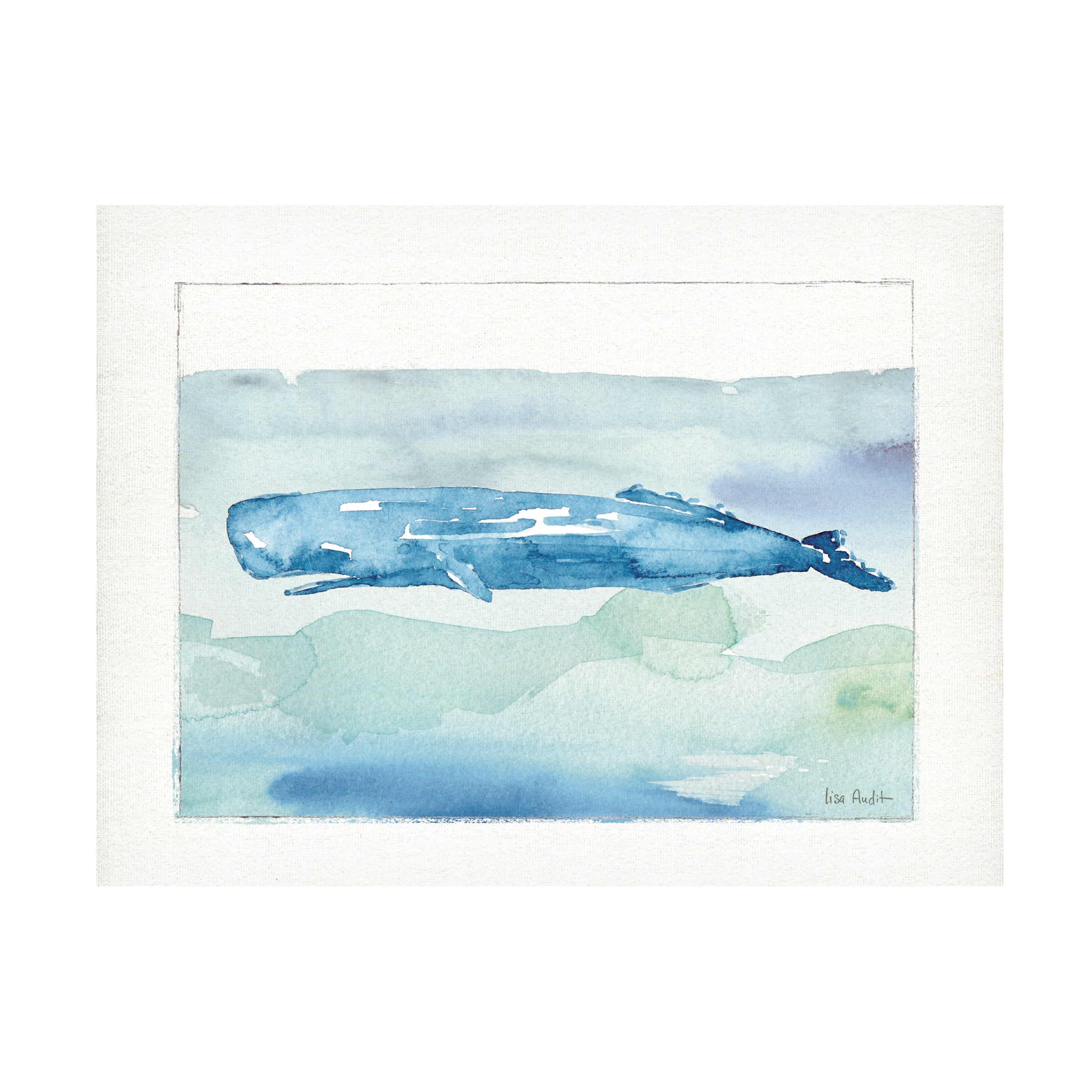 Trademark Fine Art 'Sea Life 5' Canvas Art by Lisa Audit