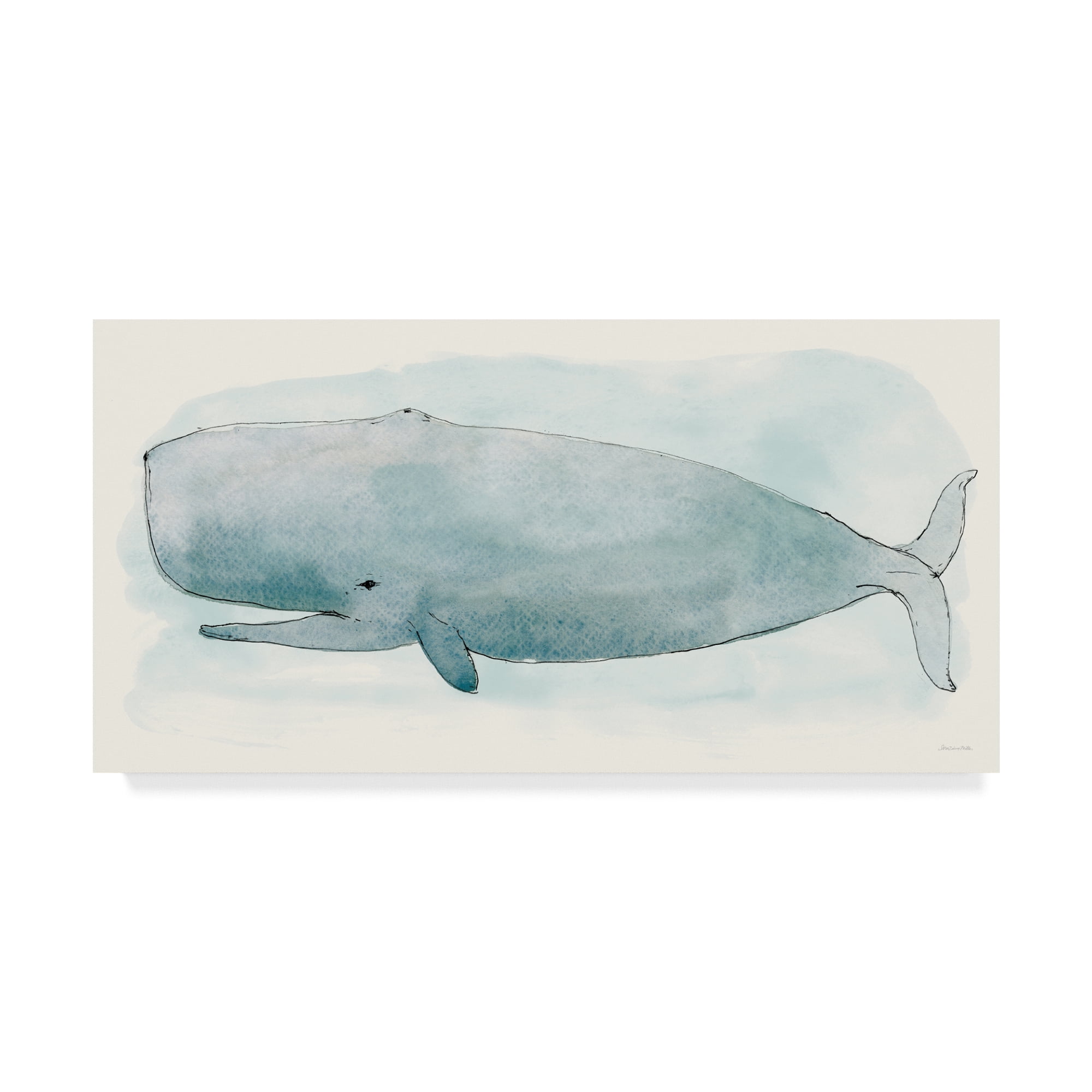Trademark Fine Art 'Sea Life V' Canvas Art by Sara Zieve Miller