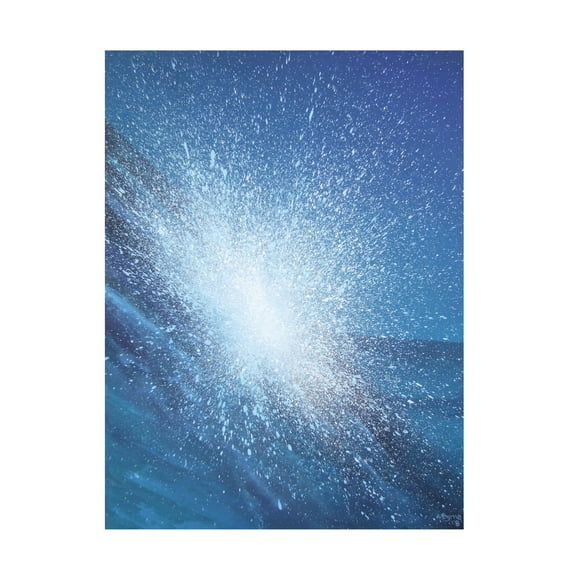 Trademark Fine Art "Sea Picture VI, 2008" Canvas Art by Alan Byrne