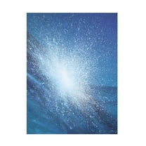 Trademark Fine Art "Sea Picture VI, 2008" Canvas Art by Alan Byrne
