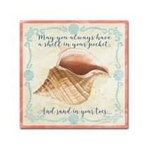 Trademark Fine Art 'Sea Shells 2' Canvas Art by Jean Plout
