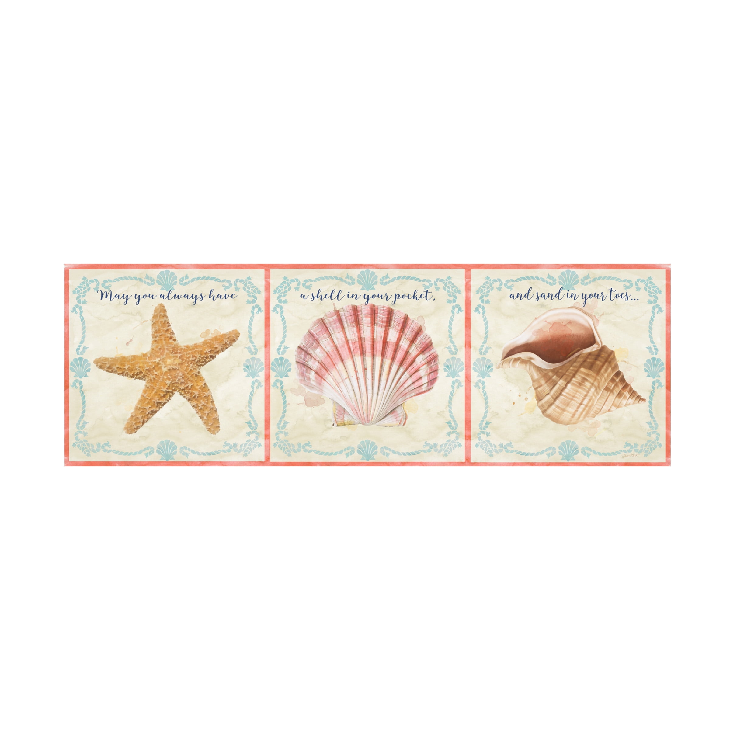 Trademark Fine Art 'Sea Shells 4' Canvas Art by Jean Plout