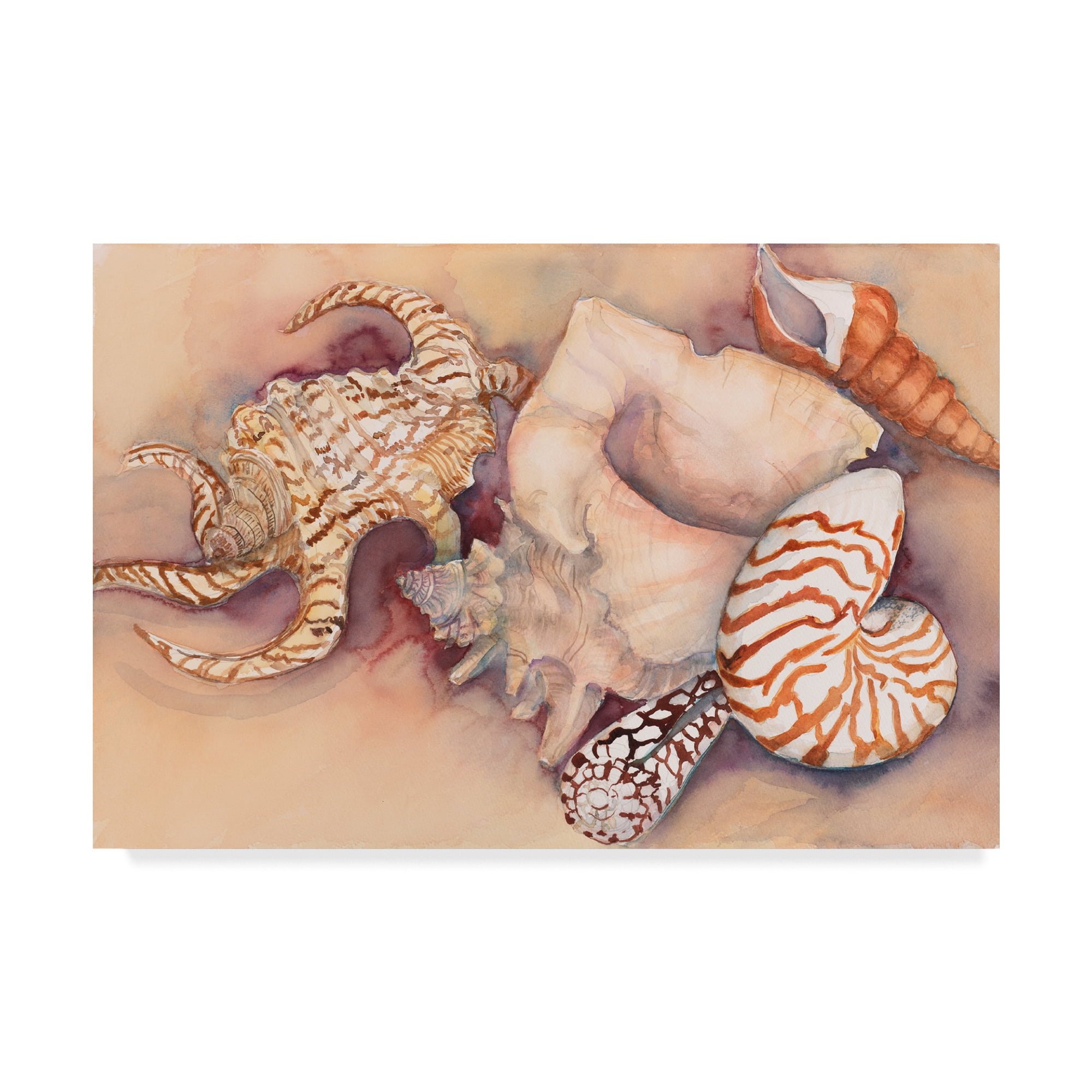 Mid-Century Modern Sea Shells Canvas Art in Soft Pastels