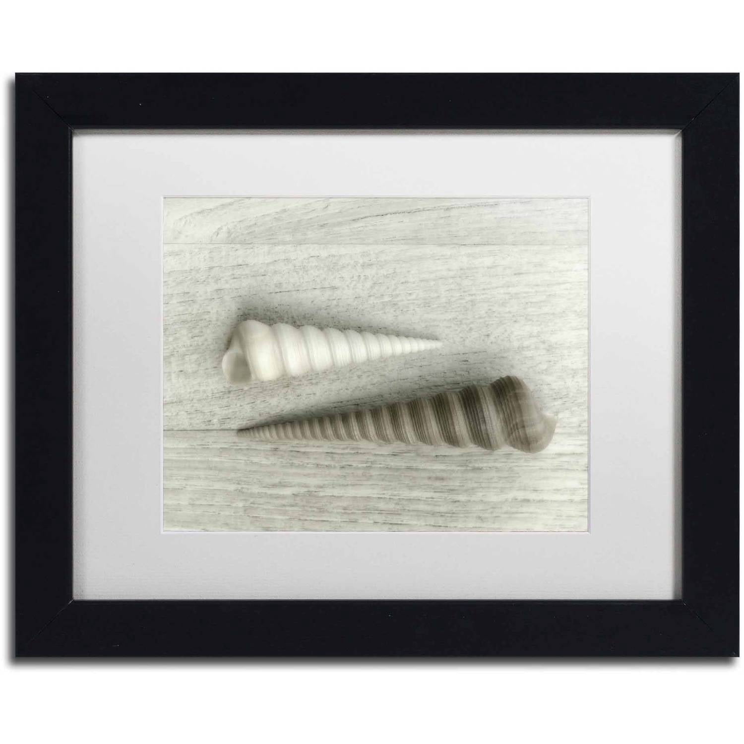 Trademark Fine Art 'Sea Snail Shells' Canvas Art by Cora Niele, White Matte, Black Frame