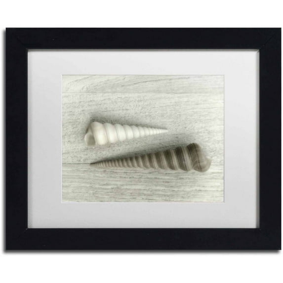 Trademark Fine Art 'Sea Snail Shells' Canvas Art by Cora Niele, White Matte, Black Frame