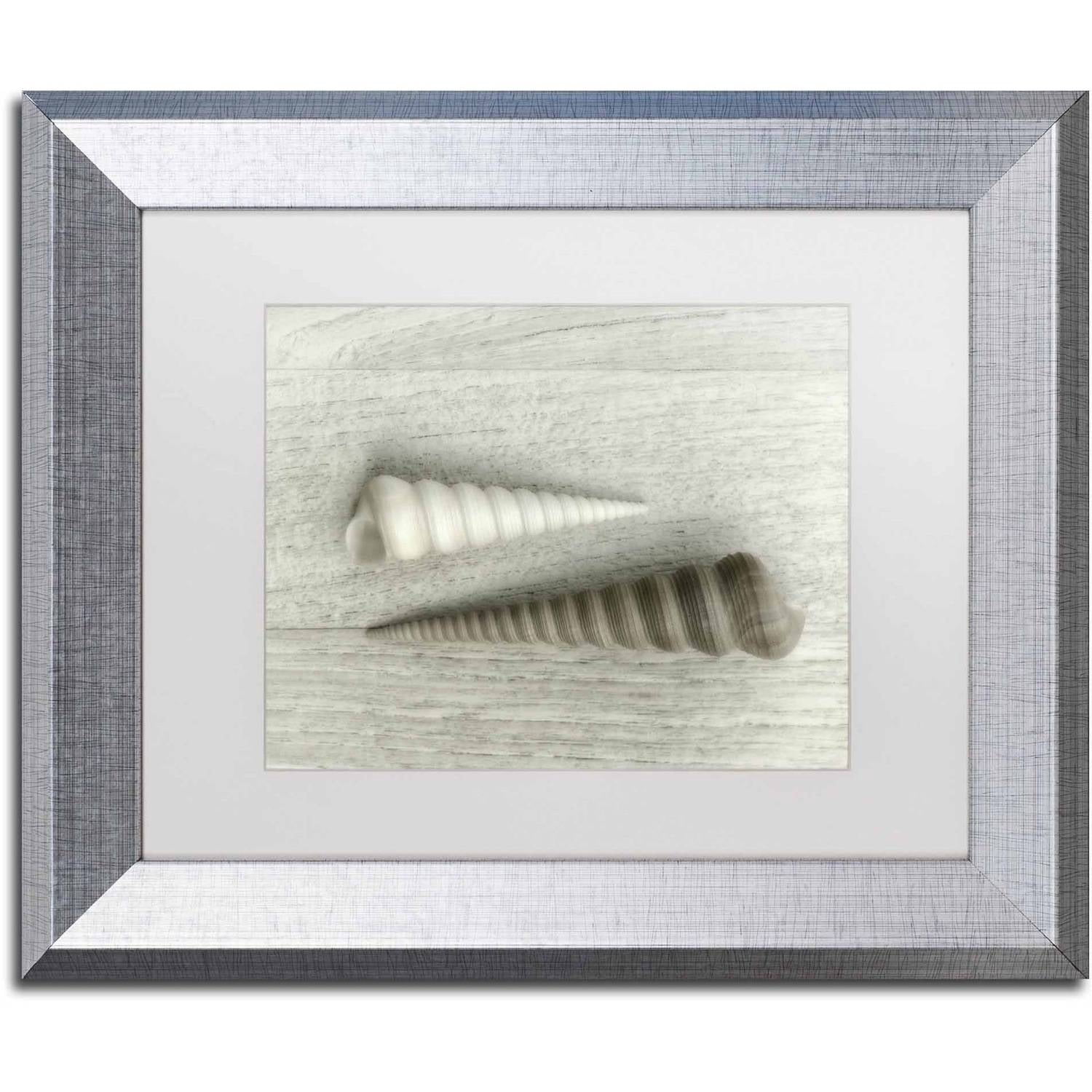 Trademark Fine Art 'Sea Snail Shells' Canvas Art by Cora Niele, White Matte, Silver Frame