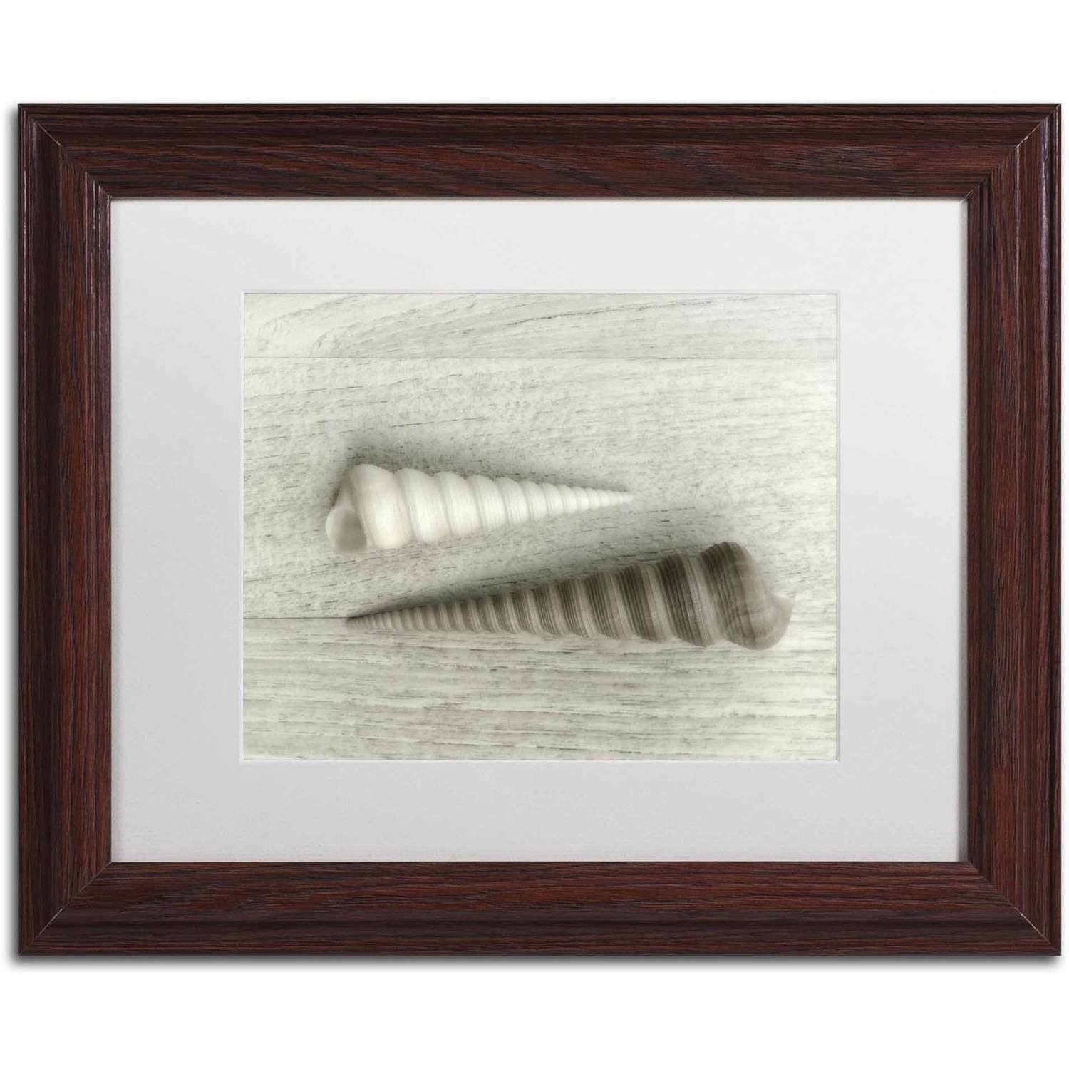 Trademark Fine Art 'Sea Snail Shells' Canvas Art by Cora Niele, White Matte, Wood Frame