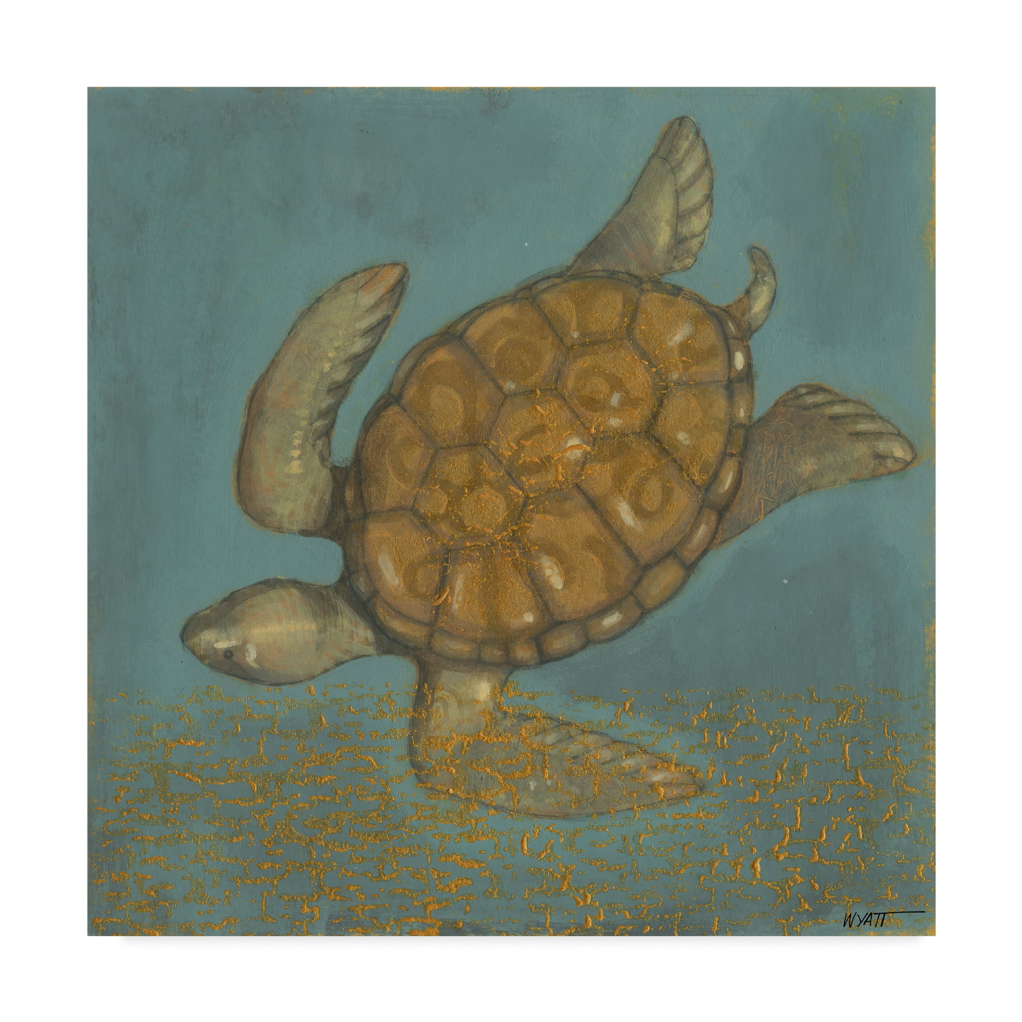 14" x 14" Green and Brown Coastal Sea Turtle Canvas Art