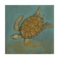 thumbnail image 1 of Trademark Fine Art 'Sea Turtle II' Canvas Art by Norman Wyatt, 1 of 4