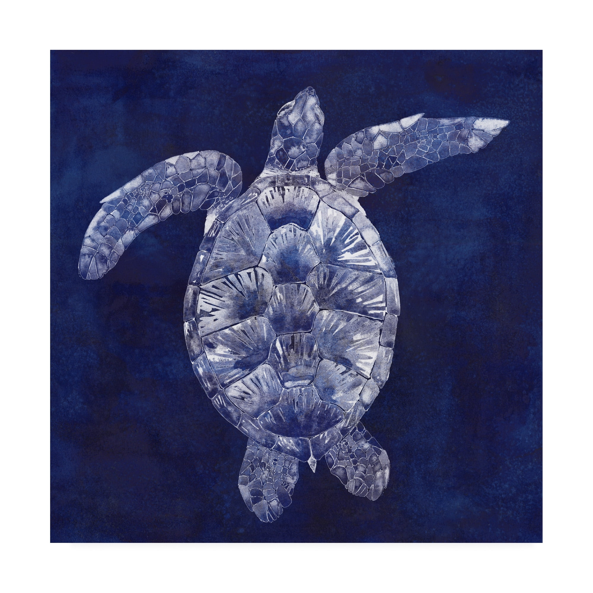 14" x 14" Blue and White Sea Turtle Canvas Print