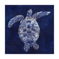 thumbnail image 1 of Trademark Fine Art 'Sea Turtle Shadow II' Canvas Art by Grace Popp, 1 of 4