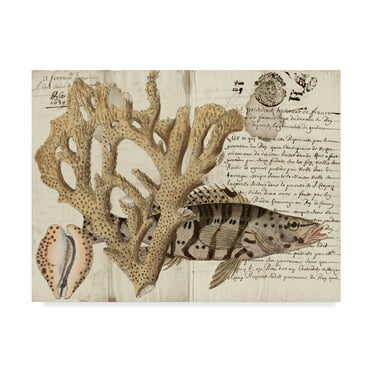 Trademark Fine Art 'Sea life Journal II' Canvas Art by Vision Studio