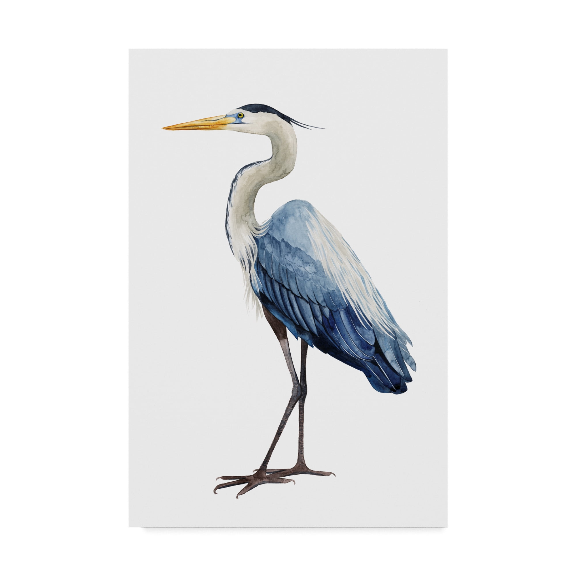 Grace Popp Blue and White Heron Canvas Print for Kids
