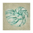 thumbnail image 1 of Trademark Fine Art 'Seafoam Shell I' Canvas Art by Chariklia Zarris, 1 of 4