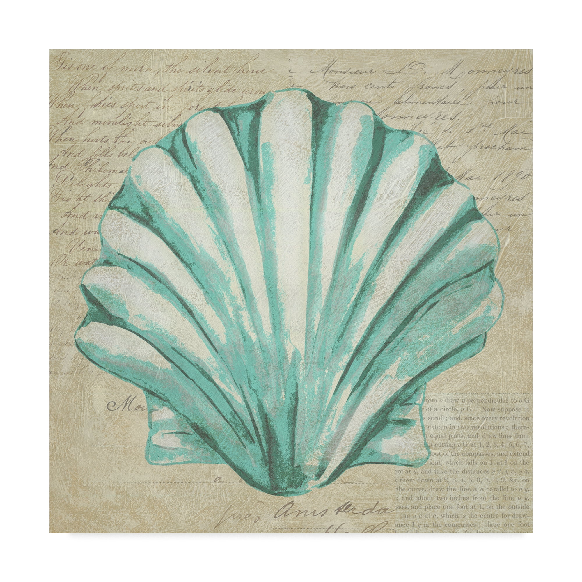 Trademark Fine Art 'Seafoam Shell II' Canvas Art by Chariklia Zarris