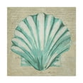 thumbnail image 1 of Trademark Fine Art 'Seafoam Shell II' Canvas Art by Chariklia Zarris, 1 of 4