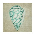 thumbnail image 1 of Trademark Fine Art 'Seafoam Shell IV' Canvas Art by Chariklia Zarris, 1 of 4