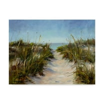 Trademark Fine Art 'Seagrass and Sand' Canvas Art by Barbara Chenault