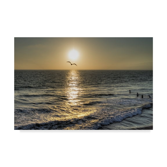 Trademark Fine Art 'Seagull Flying' Canvas Art by Giuseppe Torre