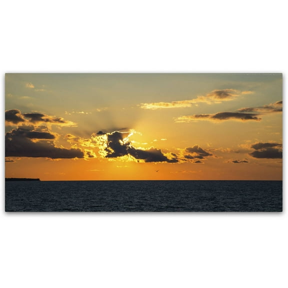 Trademark Fine Art "Seagull Sunset" Canvas Art by Kurt Shaffer