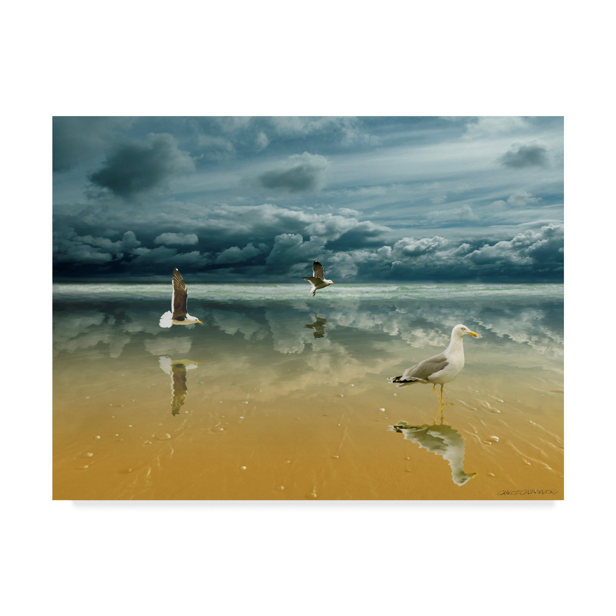Trademark Fine Art 'Seagulls On The Beach' Canvas Art by Carlos Casamayor