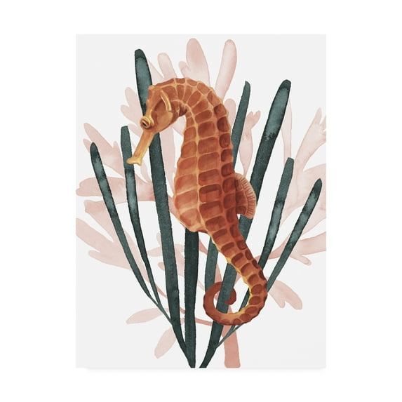 Trademark Fine Art 'Seahorse Treasures II' Canvas Art by Grace Popp