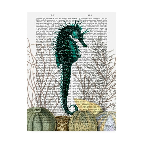 Trademark Fine Art 'Seahorse and Sea Urchins Book' Canvas Art by Fab Funky