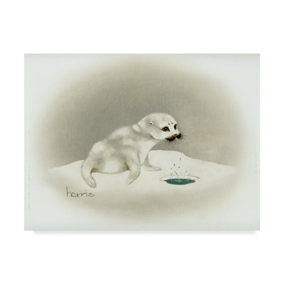 Trademark Fine Art 'Seal' Canvas Art by Peggy Harris