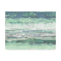 Trademark Fine Art 'Seascape Striations I' Canvas Art by Jennifer Goldberger
