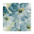 thumbnail image 1 of Trademark Fine Art 'Seashell Cosmos I Blue and Yellow' Canvas Art by Chris Paschke, 1 of 3
