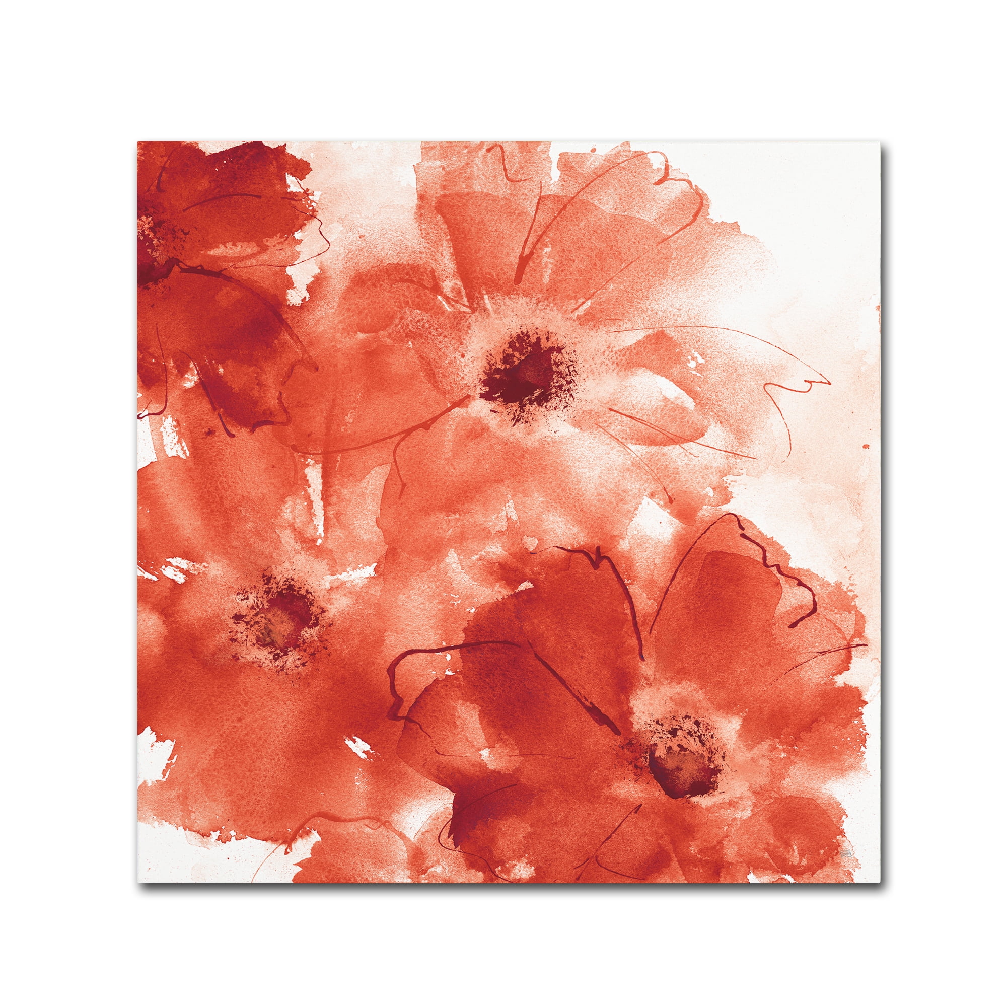Trademark Fine Art 'Seashell Cosmos II Red and Orange' Canvas Art by Chris Paschke