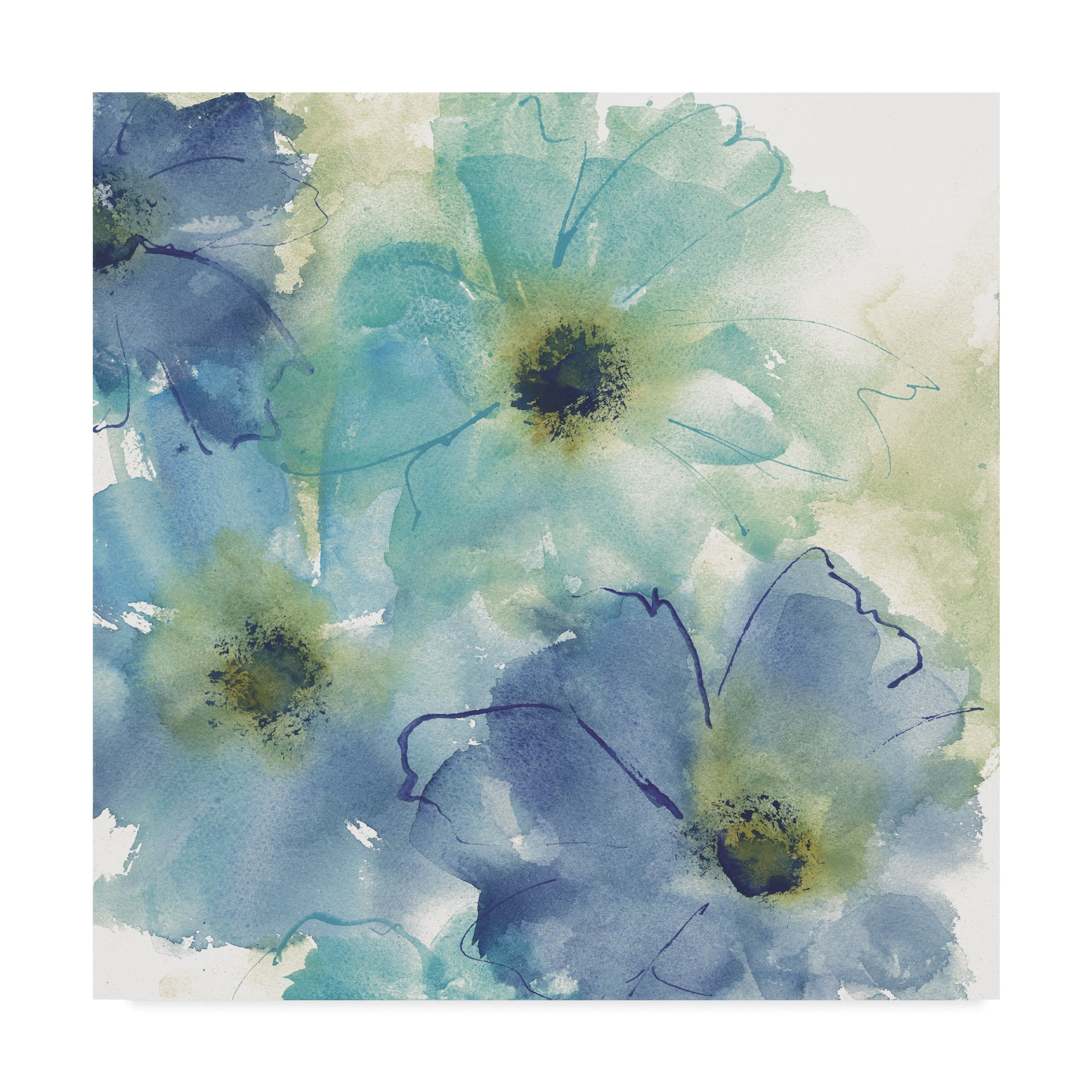 Trademark Fine Art 'Seashell Cosmos II White' Canvas Art by Chris Paschke