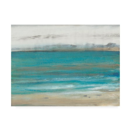 Trademark Fine Art 'Seashore I' Canvas Art by Tim O'Toole