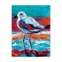 Trademark Fine Art 'Seaside Birds I' Canvas Art by Carolee Vitaletti