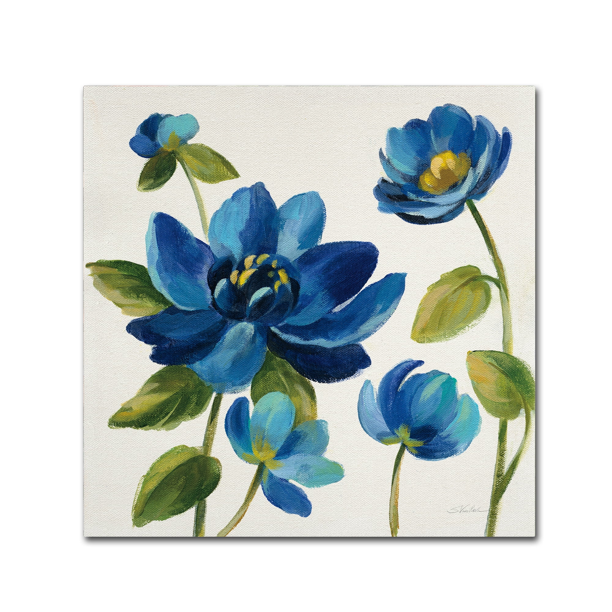 Trademark Fine Art 'Seaside Garden I' Canvas Art by Silvia Vassileva