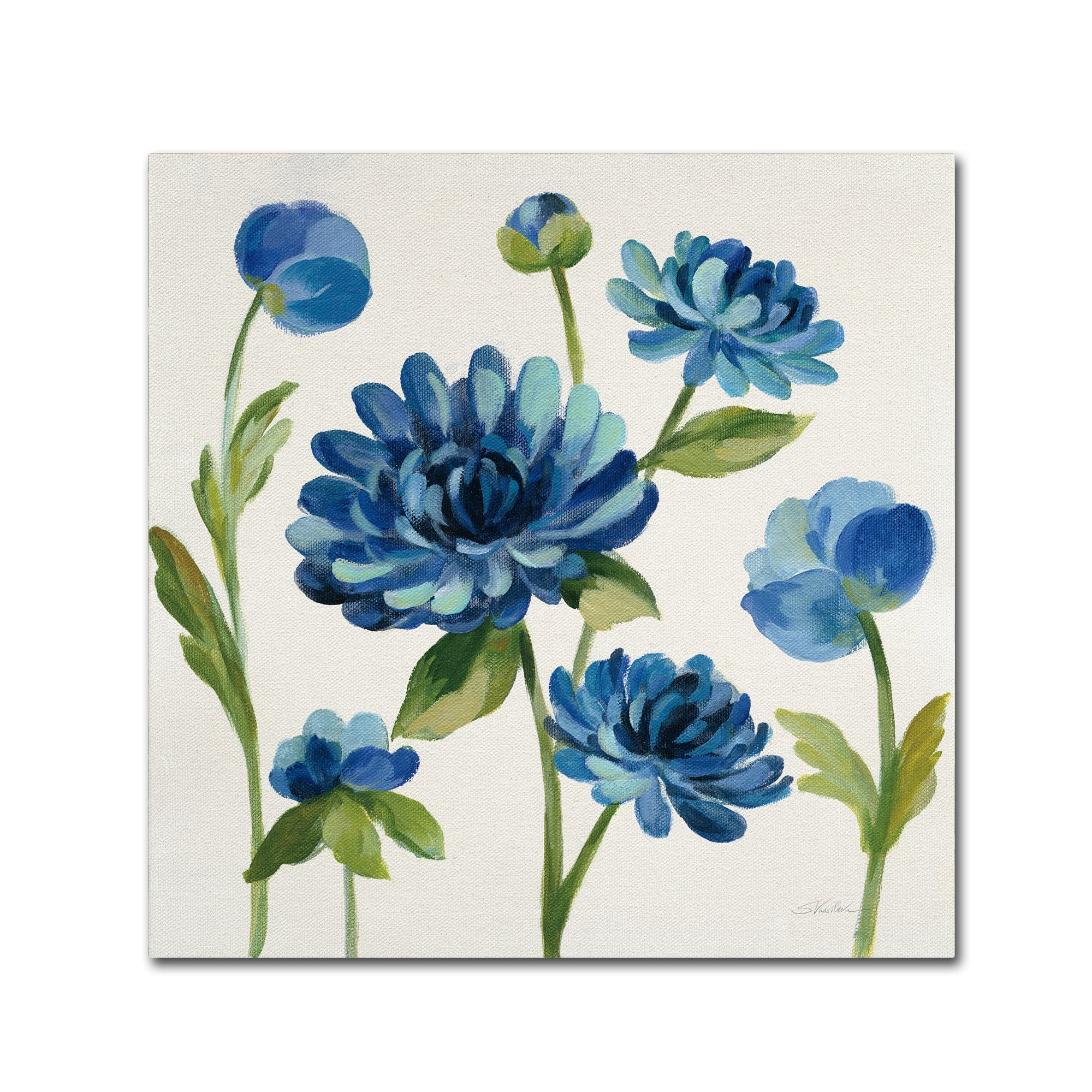 Trademark Fine Art 'Seaside Garden II' Canvas Art by Silvia Vassileva
