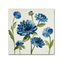 Trademark Fine Art 'Seaside Garden II' Canvas Art by Silvia Vassileva