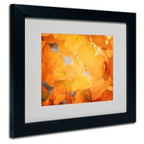 Trademark Fine Art "Seasonal Leaves" Canvas Art by Philippe Sainte-Laudy, Black Frame