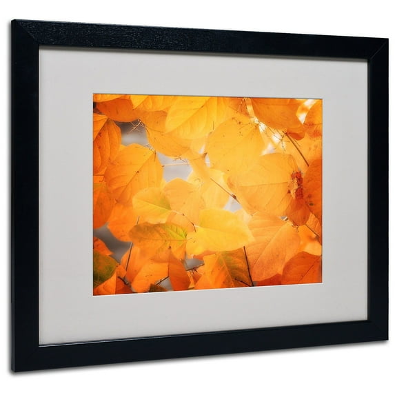 Trademark Philippe Sainte-Laudy "Seasonal Leaves" Art White Matte With Black Frame 16" x 20"