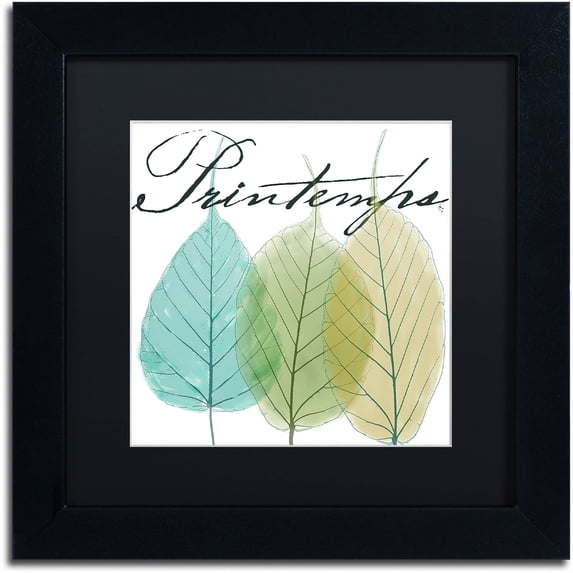 Trademark Fine Art "Seasons I" Canvas Art by Color Bakery Black Matte, Black Frame