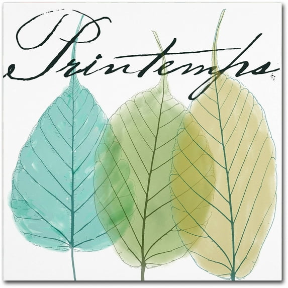 Trademark Fine Art "Seasons I" Canvas Art by Color Bakery