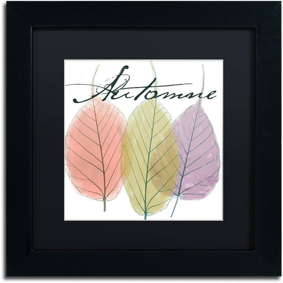 Trademark Fine Art "Seasons II" Canvas Art by Color Bakery Black Matte, Black Frame